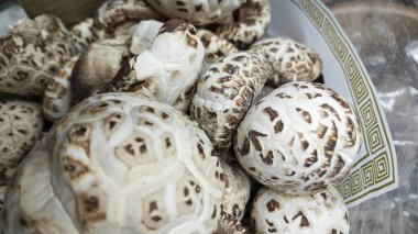 Çeşit çeşit kurutulmuş Çin Shiitake mantarı. 