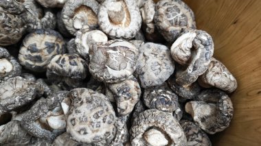 Çeşit çeşit kurutulmuş Çin Shiitake mantarı. 