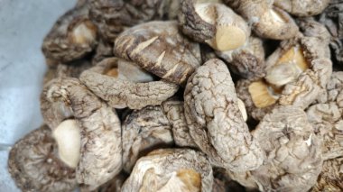 Çeşit çeşit kurutulmuş Çin Shiitake mantarı. 