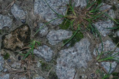 Kırsal çakıl yol dokusunun yüzey zemininin üst görüntüsü