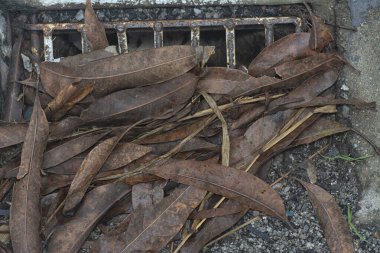 Kurumuş yaprak dokusunun yüzeyinin üst görüntüsü.