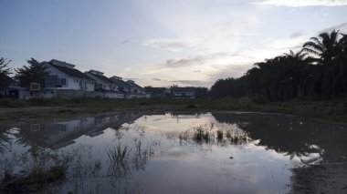 Sabahın erken saatlerinde, yerleşim yerinin yanındaki bataklık göletinin etrafında..