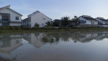 Sabahın erken saatlerinde, yerleşim yerinin yanındaki bataklık göletinin etrafında..