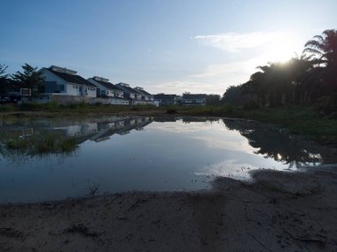 Sabahın erken saatlerinde, yerleşim yerinin yanındaki bataklık göletinin etrafında..