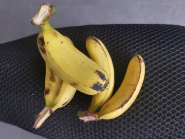 two piece of cavendish banana in a single finger. clipart