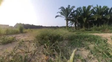 Boş arazideki çalılar boyunca yürüme hareketi.