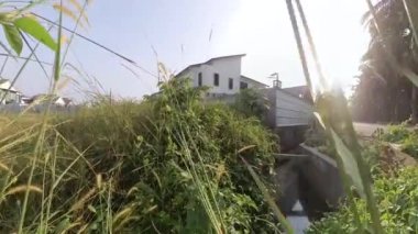 Boş arazideki çalılar boyunca yürüme hareketi.