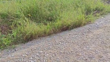 İnşaat alanındaki beton zeminde metal takviyeli çerçeve ya da blok..