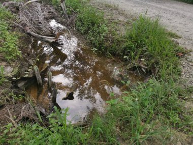 Yansıtıcı yüzey birikintisinin çeşitli sahneleri ya da çiftlik arazisindeki kırsal drenaj..