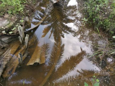 Yansıtıcı yüzey birikintisinin çeşitli sahneleri ya da çiftlik arazisindeki kırsal drenaj..