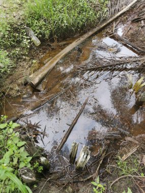 Yansıtıcı yüzey birikintisinin çeşitli sahneleri ya da çiftlik arazisindeki kırsal drenaj..