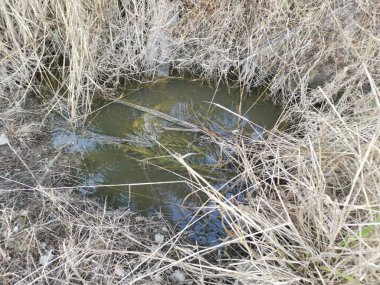 Yansıtıcı yüzey birikintisinin çeşitli sahneleri ya da çiftlik arazisindeki kırsal drenaj..