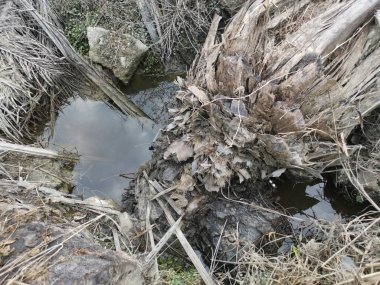 Yansıtıcı yüzey birikintisinin çeşitli sahneleri ya da çiftlik arazisindeki kırsal drenaj..