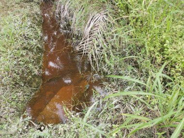Yansıtıcı yüzey birikintisinin çeşitli sahneleri ya da çiftlik arazisindeki kırsal drenaj..