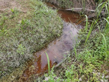 Yansıtıcı yüzey birikintisinin çeşitli sahneleri ya da çiftlik arazisindeki kırsal drenaj..