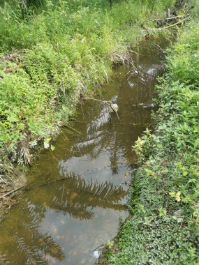 Yansıtıcı yüzey birikintisinin çeşitli sahneleri ya da çiftlik arazisindeki kırsal drenaj..