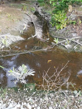 Yansıtıcı yüzey birikintisinin çeşitli sahneleri ya da çiftlik arazisindeki kırsal drenaj..