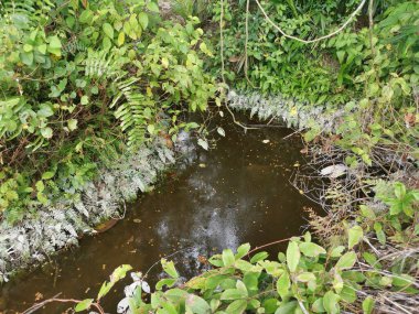 Yansıtıcı yüzey birikintisinin çeşitli sahneleri ya da çiftlik arazisindeki kırsal drenaj..