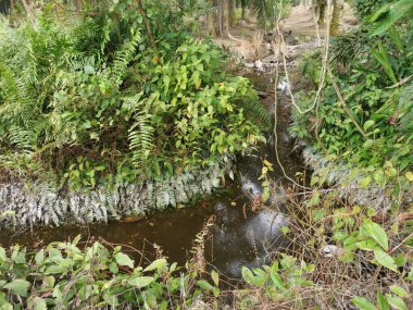 Yansıtıcı yüzey birikintisinin çeşitli sahneleri ya da çiftlik arazisindeki kırsal drenaj..