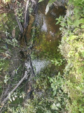 Yansıtıcı yüzey birikintisinin çeşitli sahneleri ya da çiftlik arazisindeki kırsal drenaj..