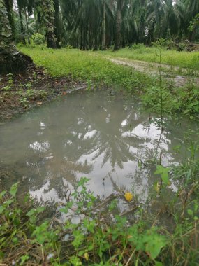 Çiftliğe giden kırsal toprak yolda yağmur suyu birikintisi topladık..
