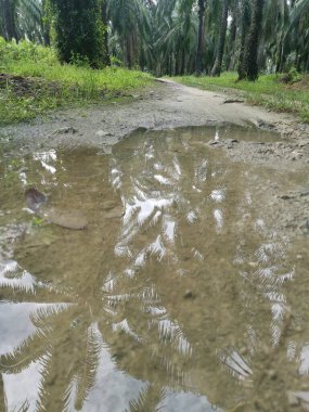 Çiftliğe giden kırsal toprak yolda yağmur suyu birikintisi topladık..