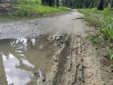 Çiftliğe giden kırsal toprak yolda yağmur suyu birikintisi topladık..