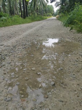 Çiftliğe giden kırsal toprak yolda yağmur suyu birikintisi topladık..