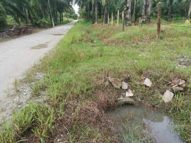 Çiftliğe giden kırsal toprak yolda yağmur suyu birikintisi topladık..