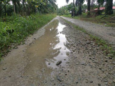 Çiftliğe giden kırsal toprak yolda yağmur suyu birikintisi topladık..