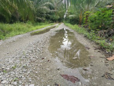 Çiftliğe giden kırsal toprak yolda yağmur suyu birikintisi topladık..