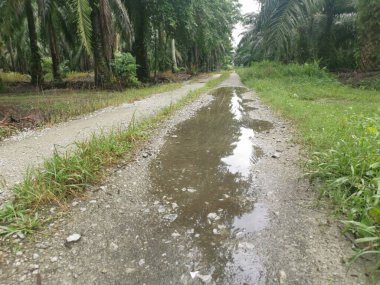 Çiftliğe giden kırsal toprak yolda yağmur suyu birikintisi topladık..