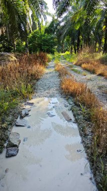 Çukur ya da su birikintisi taşlarla dolu kırsal toprak patika.