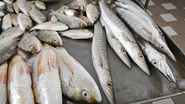 Farklı taze tuzlu su balıklarını göster.