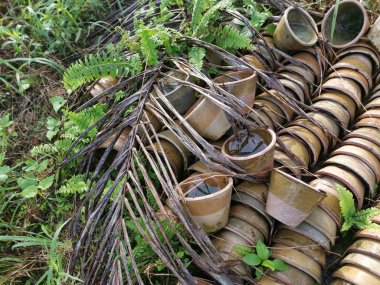Çayır zemininde istenmeyen lateks seramik kap yığını.