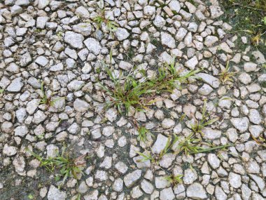 Kırsal yolların yüzey dokusu birleşik taşlardan oluşmuş ya da atılmış kayalardan oluşmuş..