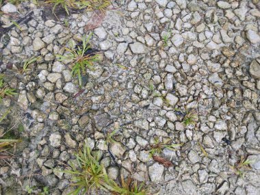 Kırsal yolların yüzey dokusu birleşik taşlardan oluşmuş ya da atılmış kayalardan oluşmuş..