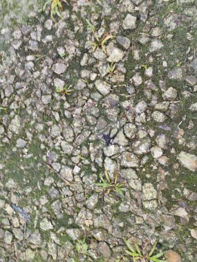 Kırsal yolların yüzey dokusu birleşik taşlardan oluşmuş ya da atılmış kayalardan oluşmuş..