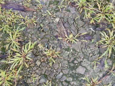 the surface ground texture of rural pathway made up of aggregated stones or thrown away rock. clipart