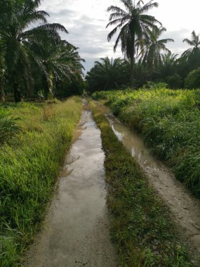 Kırsal toprak yolda sağanak yağış sonrasında durgun su havuzu yansıtıyor.  