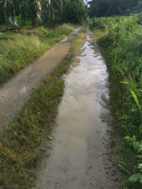 Kırsal toprak yolda sağanak yağış sonrasında durgun su havuzu yansıtıyor.  