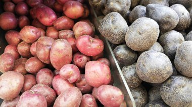 Çiğ ve taze kırmızı ya da mor patates yığını.