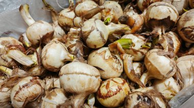 Kutuda bir yığın çiğ taze Ngarku var..