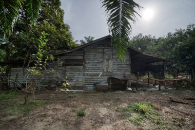 a vacant dilapidated house stands alone at the plantation clipart