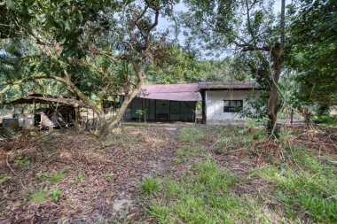 a vacant dilapidated house stands alone at the plantation clipart