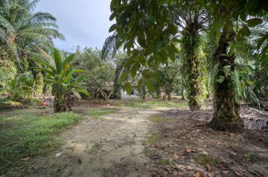 Boş bir ev çiftlikte tek başına duruyor.