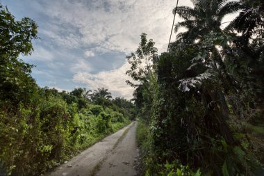Kırsal yol çevresindeki geniş panoramik tarım manzarası.  