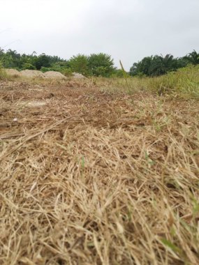 Çiftliğe giden kırsal toprak yolun düşük açılı görüntüsü. 