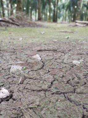 Çiftliğe giden kırsal toprak yolun düşük açılı görüntüsü. 