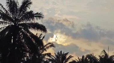 Çiftliğe giden kırsal toprak yolda gün batımı sahnesi. 